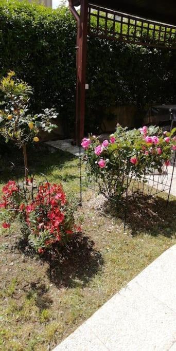 Appartamento Tra Il Borgo E Il Lago Anguillara Sabazia Dış mekan fotoğraf